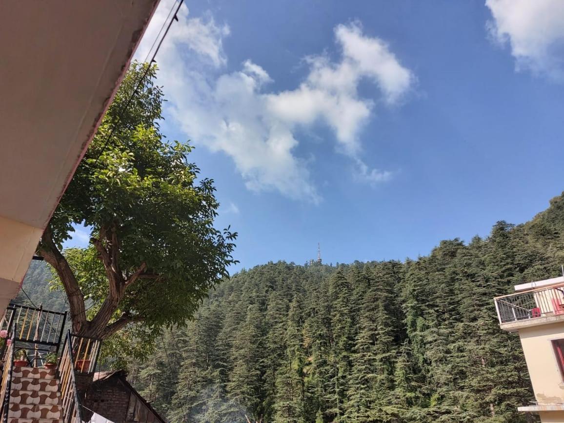 Shimla Pines Homestay Buitenkant foto