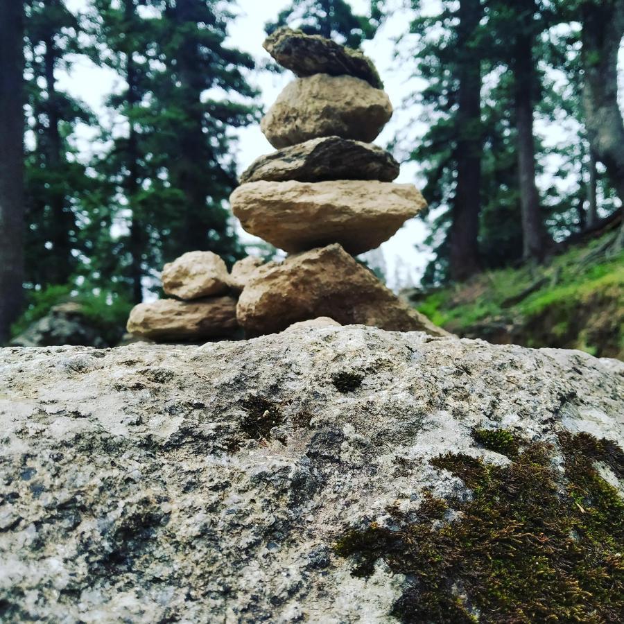 Shimla Pines Homestay Buitenkant foto