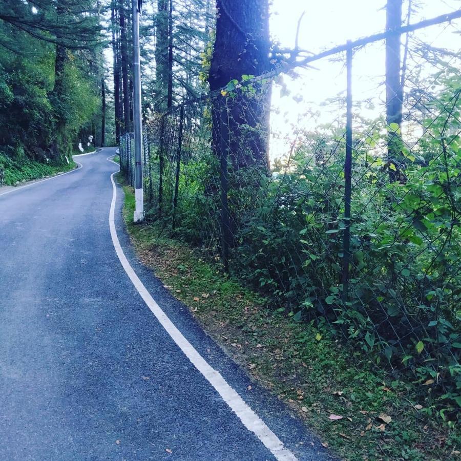 Shimla Pines Homestay Buitenkant foto