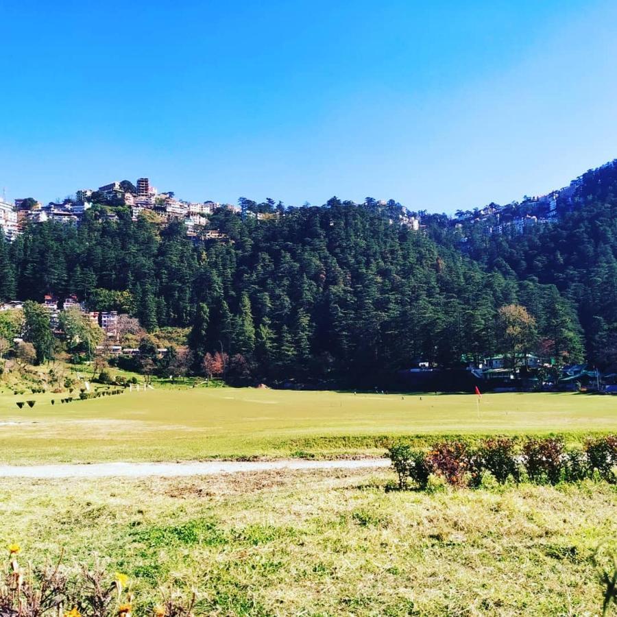 Shimla Pines Homestay Buitenkant foto